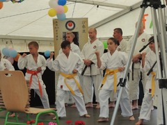 A zalakarosi Sensei Németh Budo Karate egyesület bemutatója (az első sorban pölöskei tanítványaik)